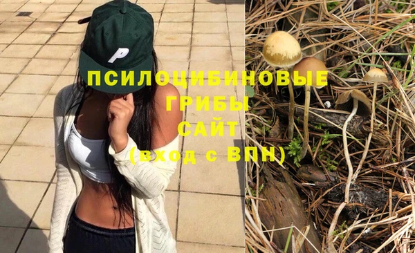 прущая мука Киреевск