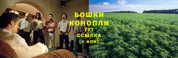 ГАЛЛЮЦИНОГЕННЫЕ ГРИБЫ Балабаново