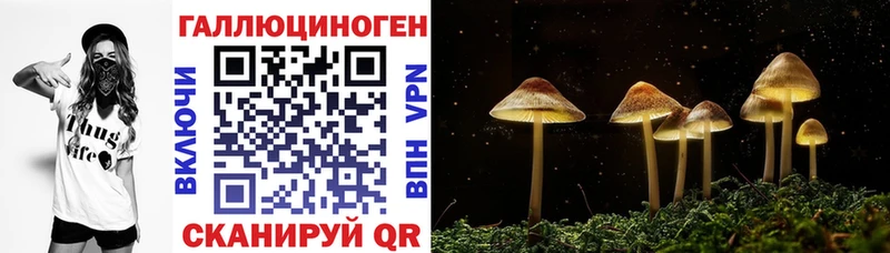 Галлюциногенные грибы мухоморы  Сыктывкар 