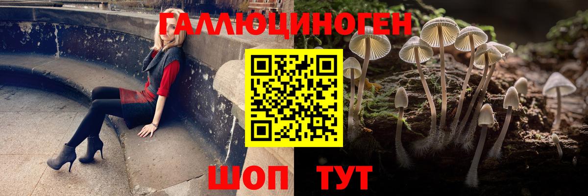 Сыктывкар  Псилоцибиновые грибы ЛСД  Вход с VPN 